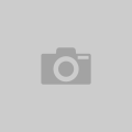 {Job Role}